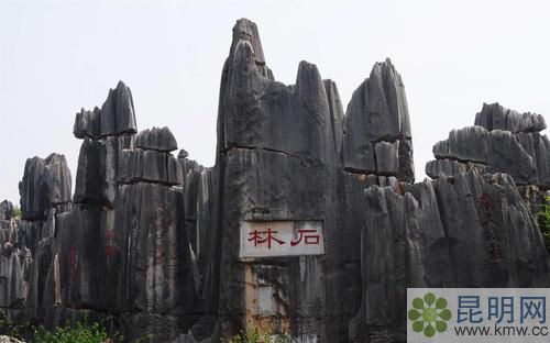 u=334328266,3018280610&fm=214&gp=0 u=334328266,3018280610&fm=214&gp=0