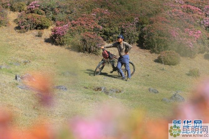 138042772_15572934716911n 138042772_15572934716911n