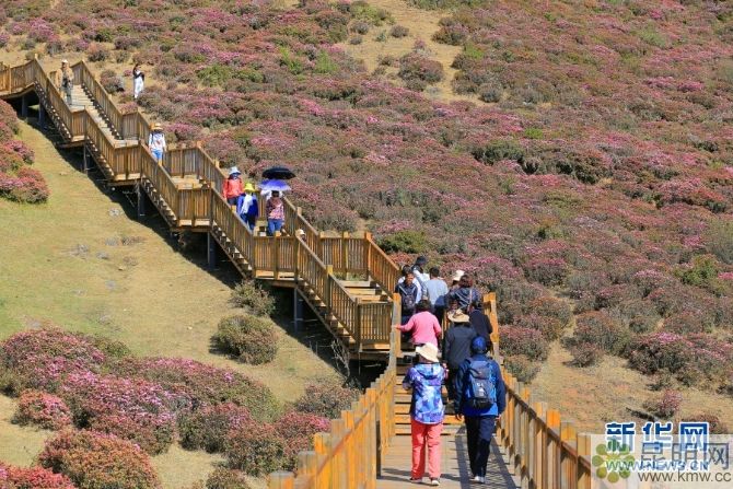 138042772_15572934720591n 138042772_15572934720591n