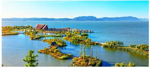 QQ截圖20200119164041 QQ截圖20200119164041