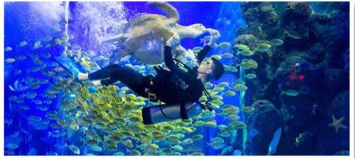 QQ截圖20200119174054 QQ截圖20200119174054